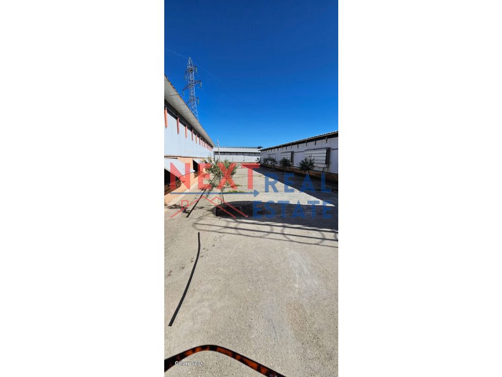 property-4