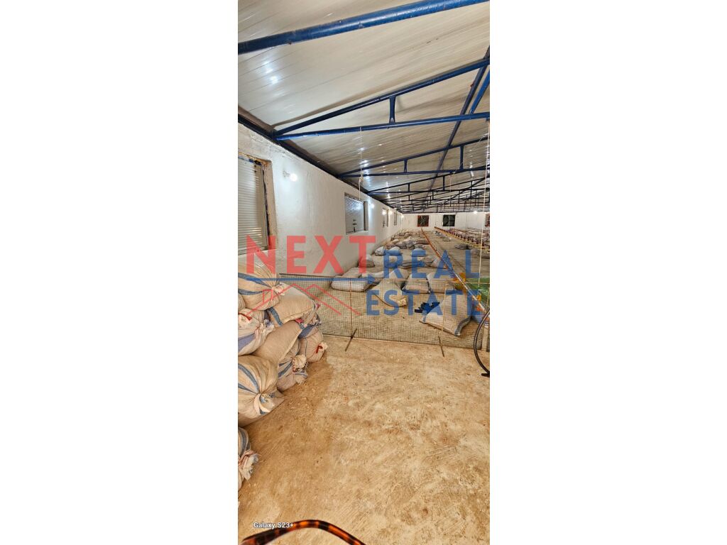 property-4