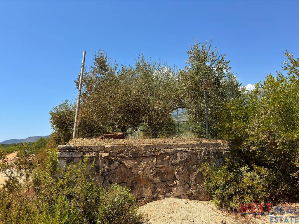 property-4