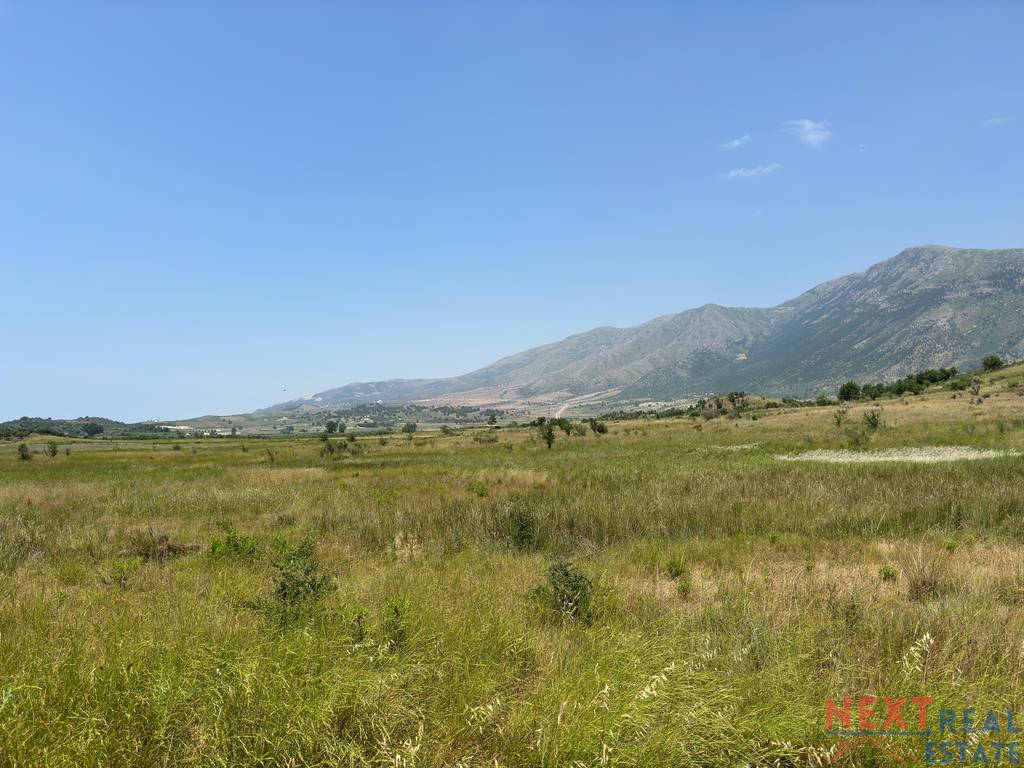 property-4