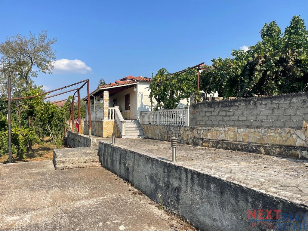 property-4