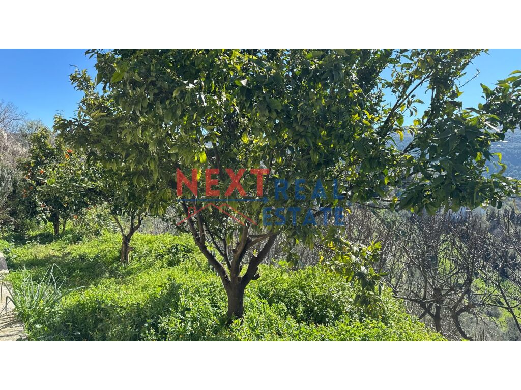 property-4