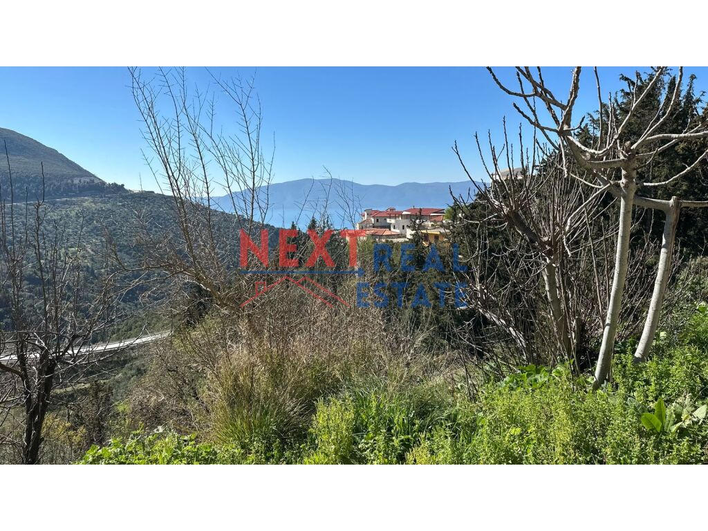 property-4