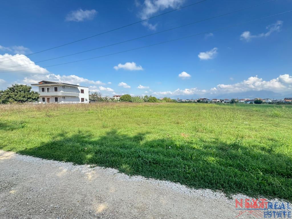 property-4