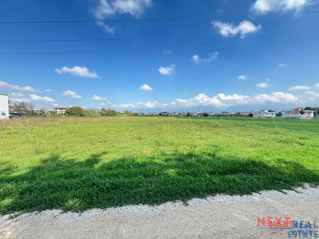 property-4