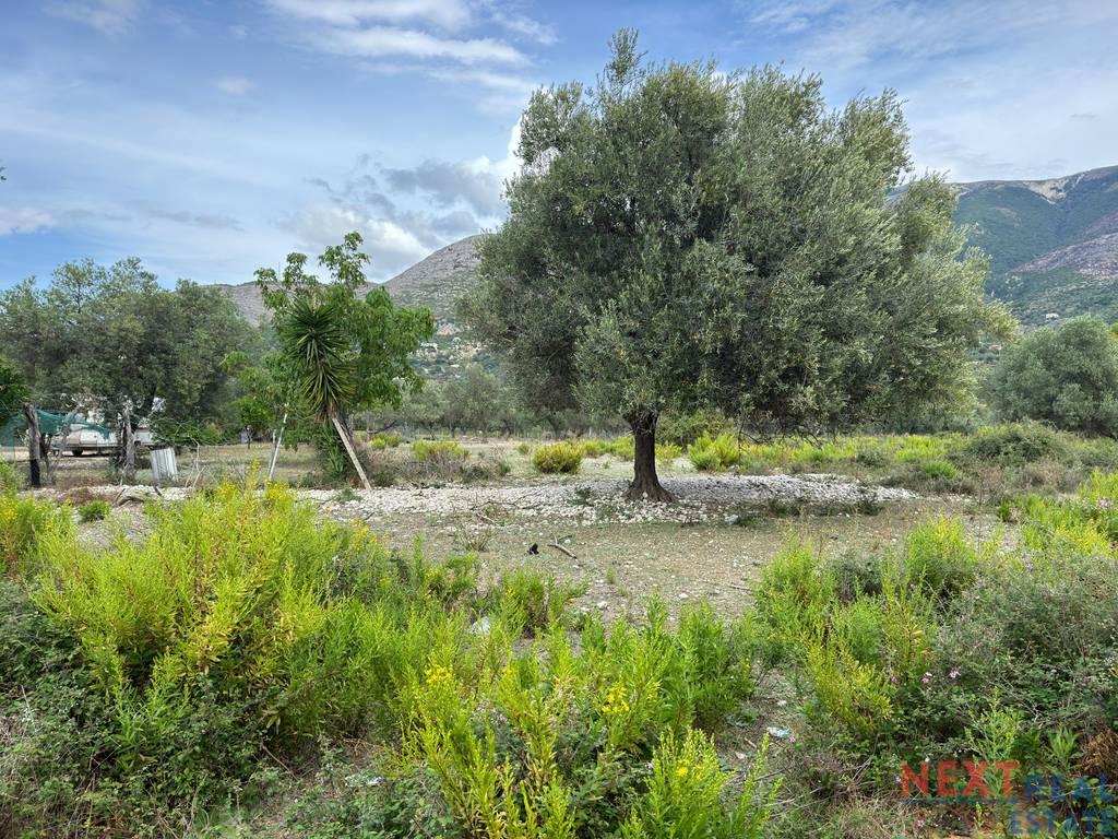 property-4