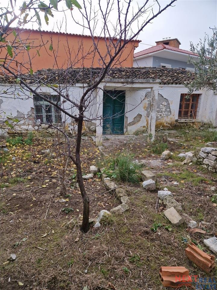 QUESTO + VECCHIA CASA A KANINE