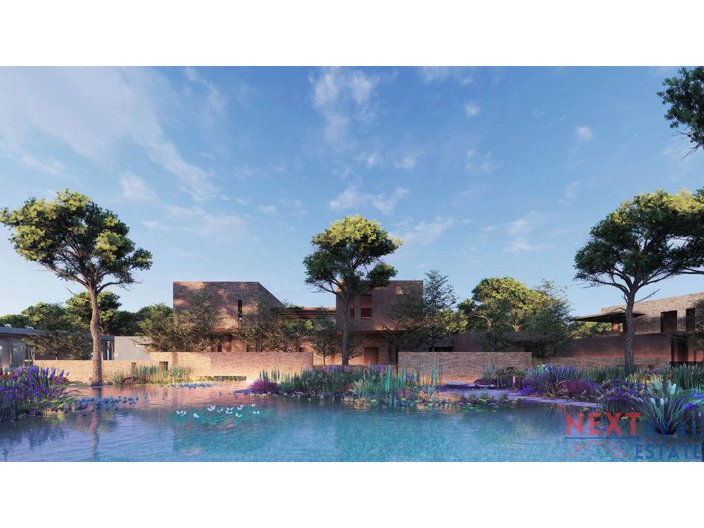 property-4