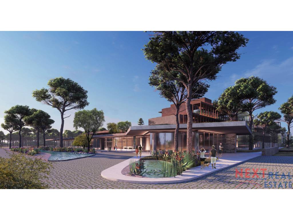 property-4