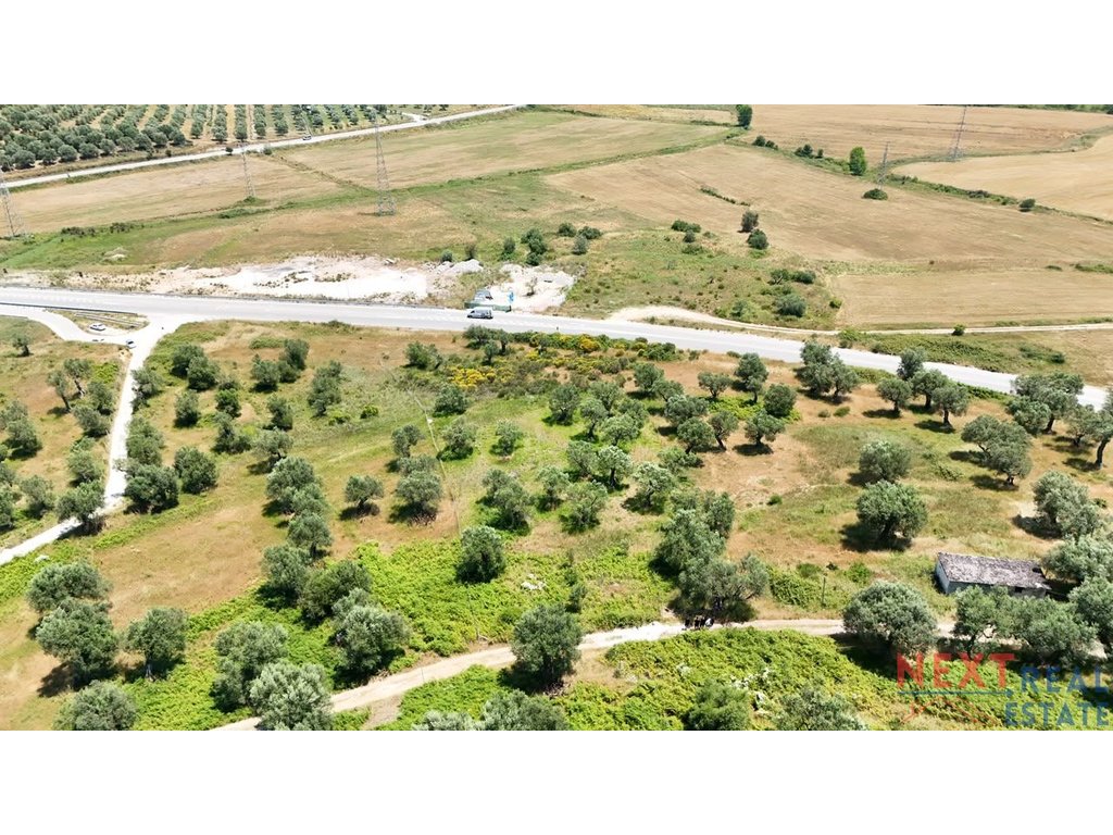 property-4