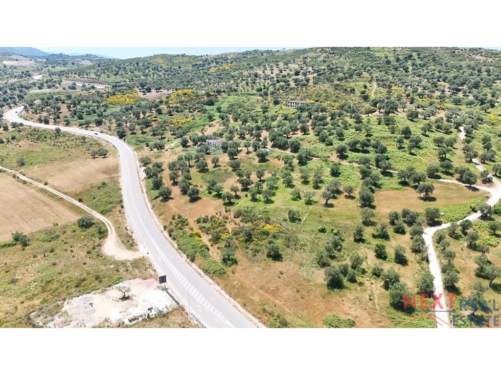 property-4