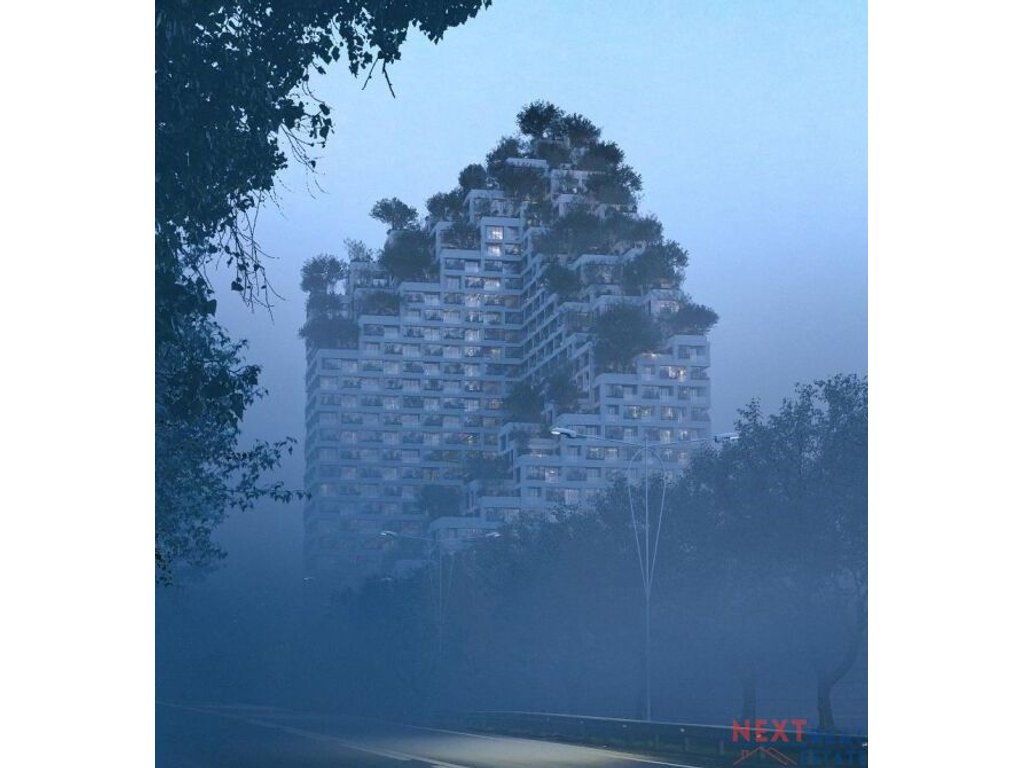 property-4