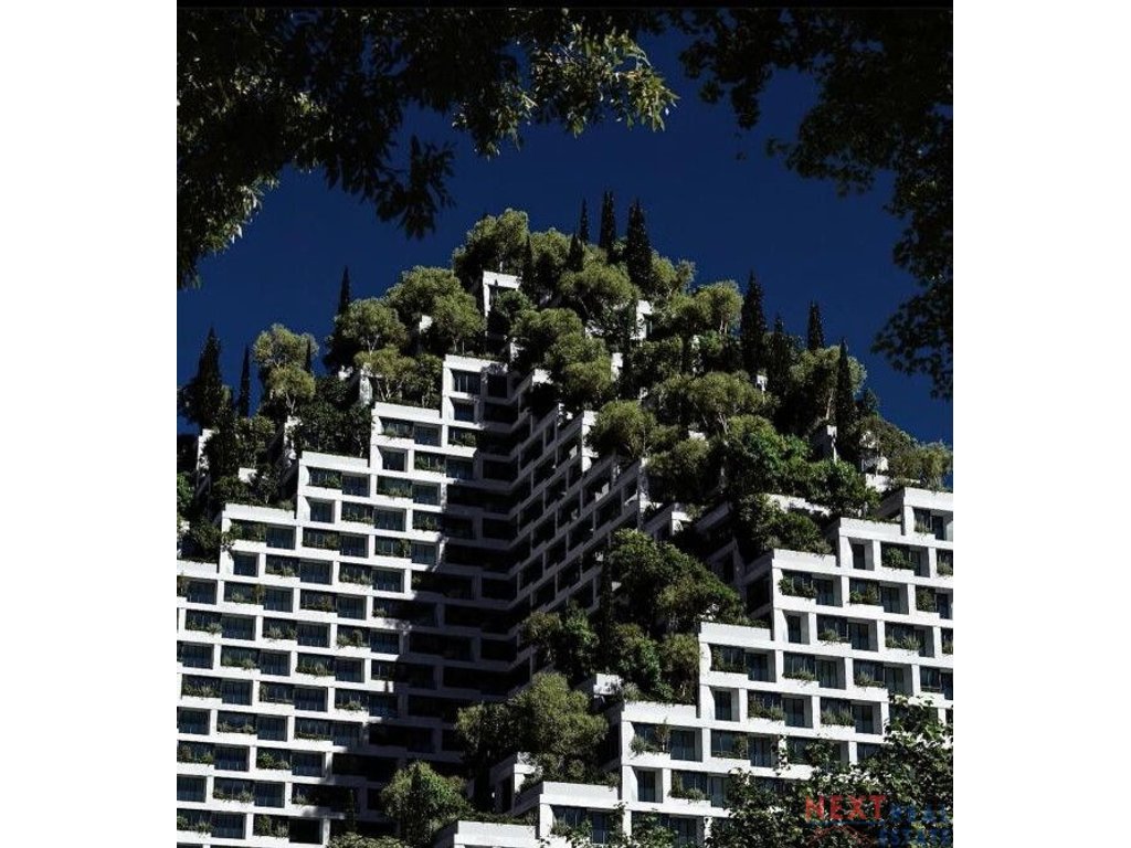 property-4
