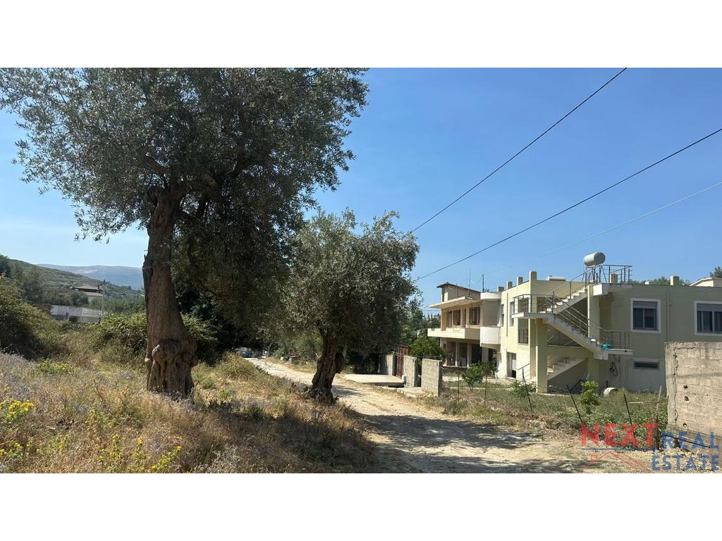 property-4
