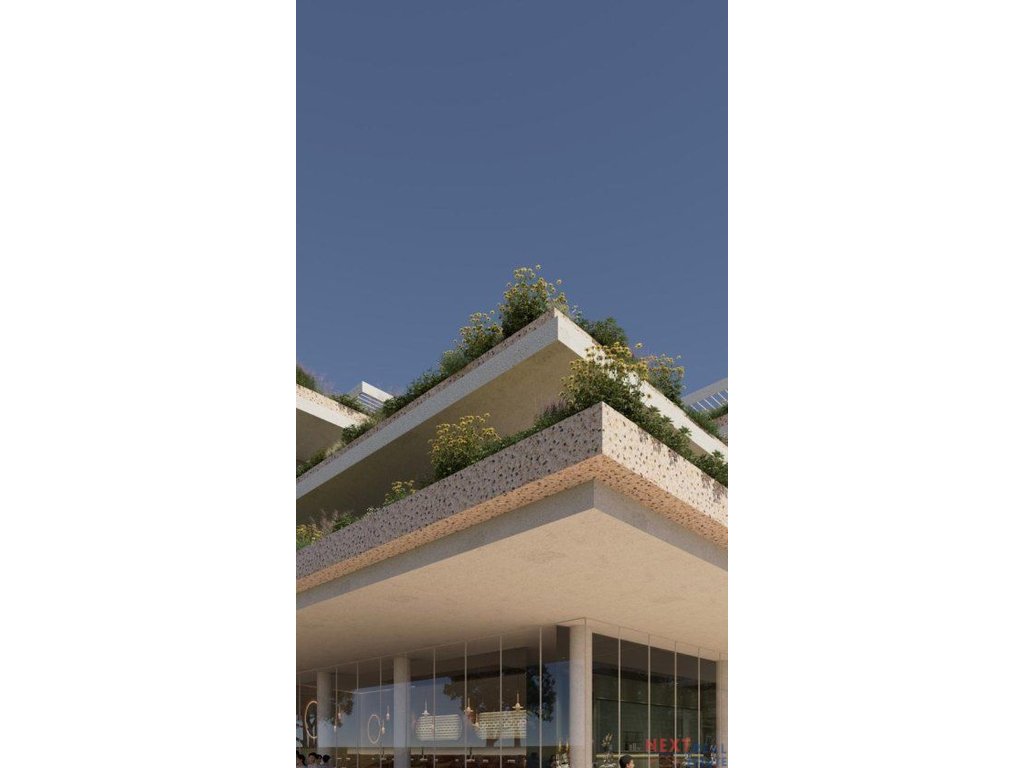 property-4
