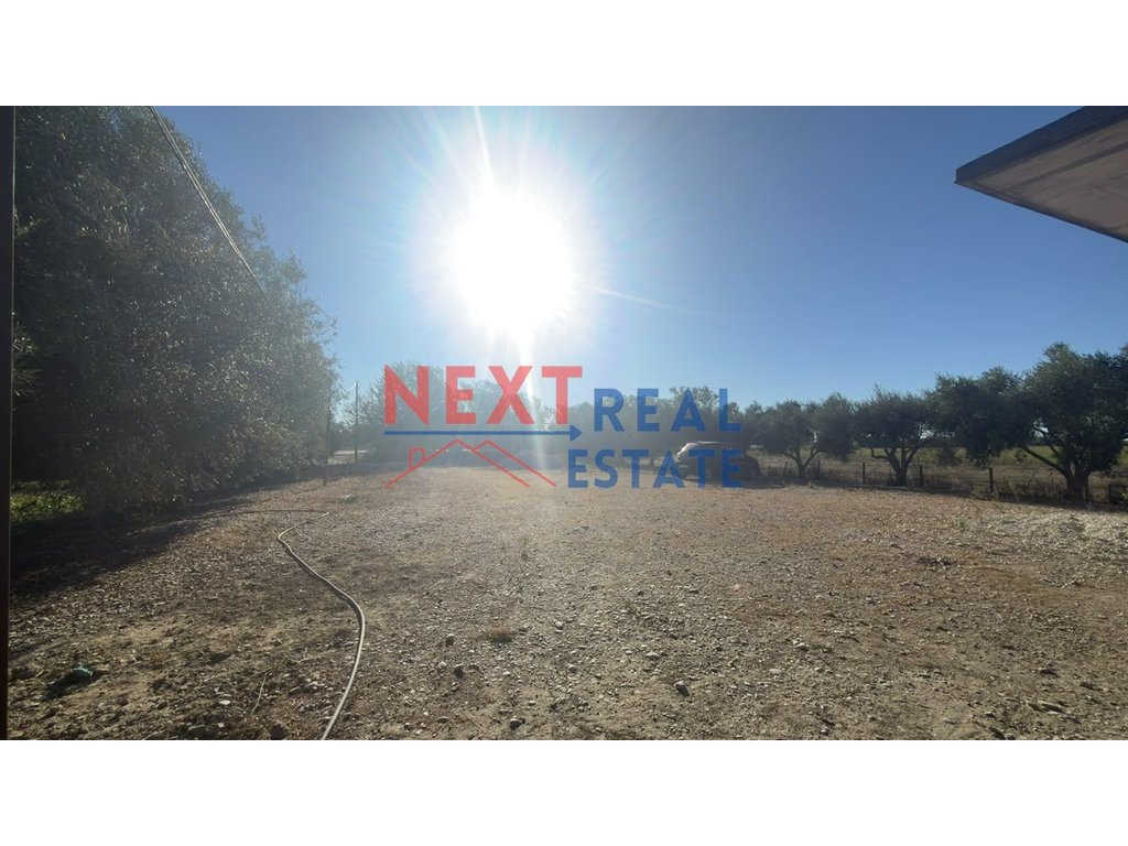 property-4