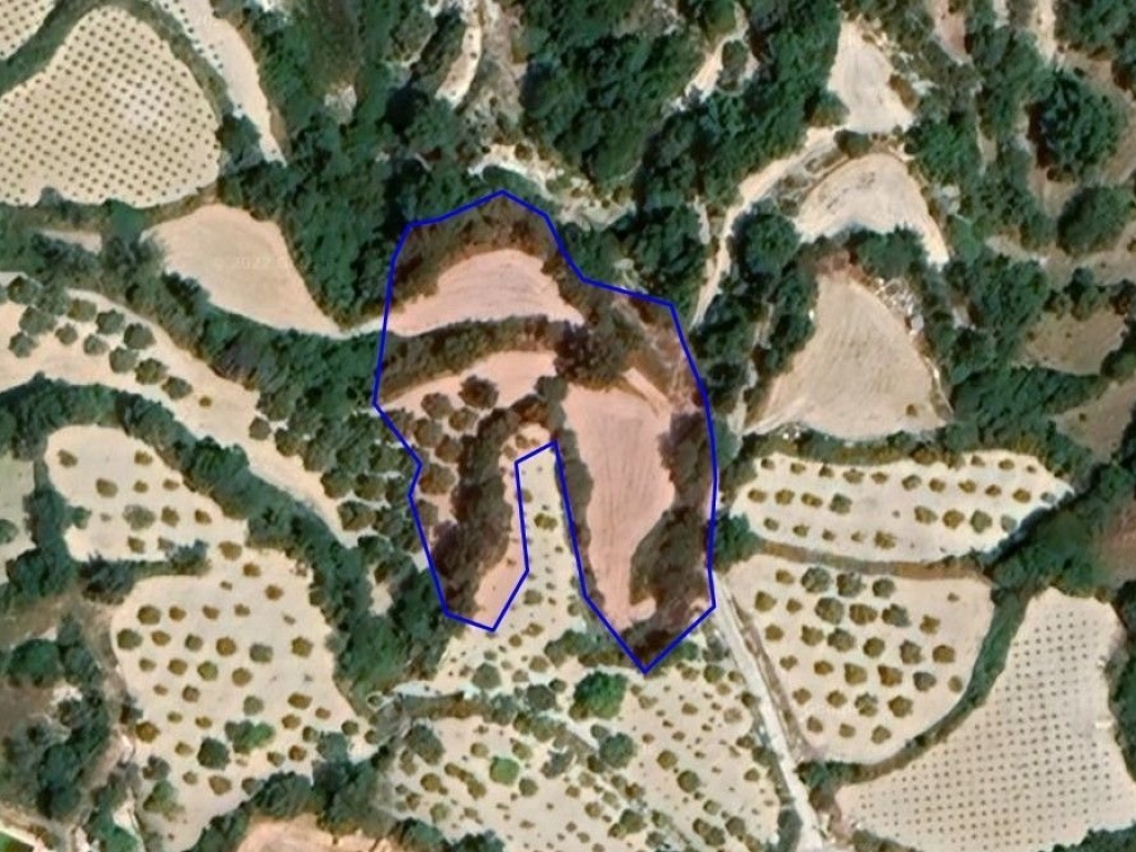 property-main-img