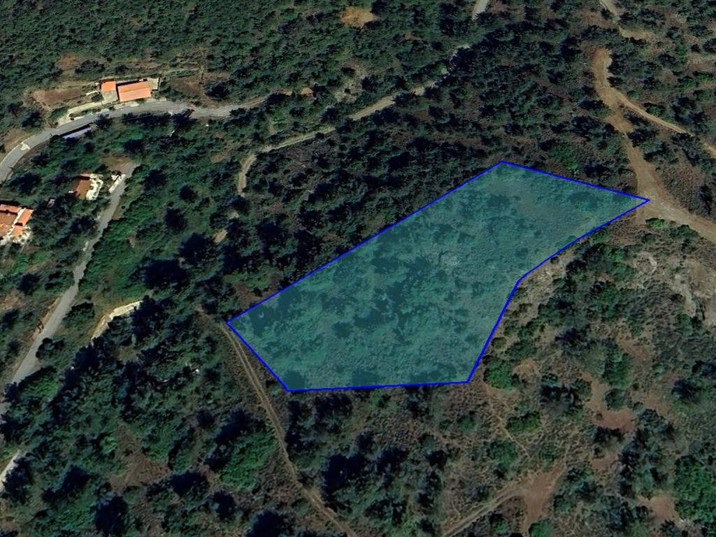 latest-property-img