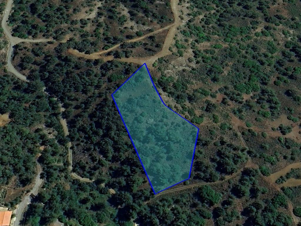 property-main-img