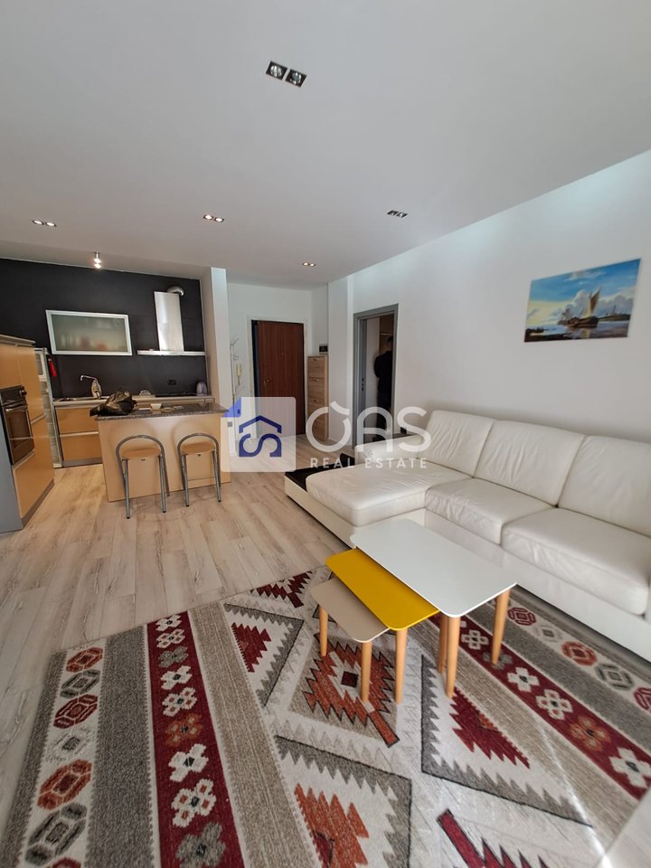 A 1+1 apartment is for rent near the Air Albania stadium.