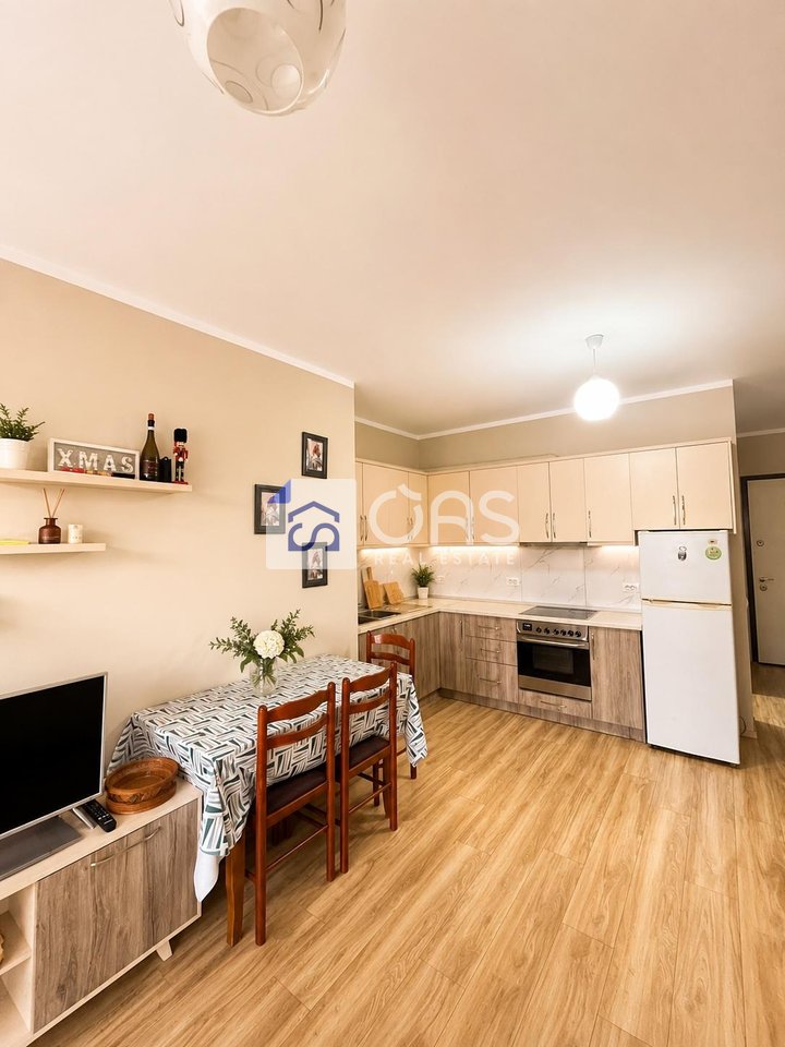 Apartment 1+1 for rent Laprak  E88