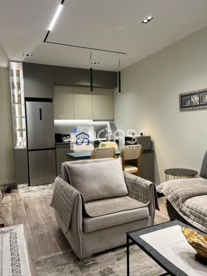 Appartamento 1+1 in affitto nel centro, Piazza Skanderbeg