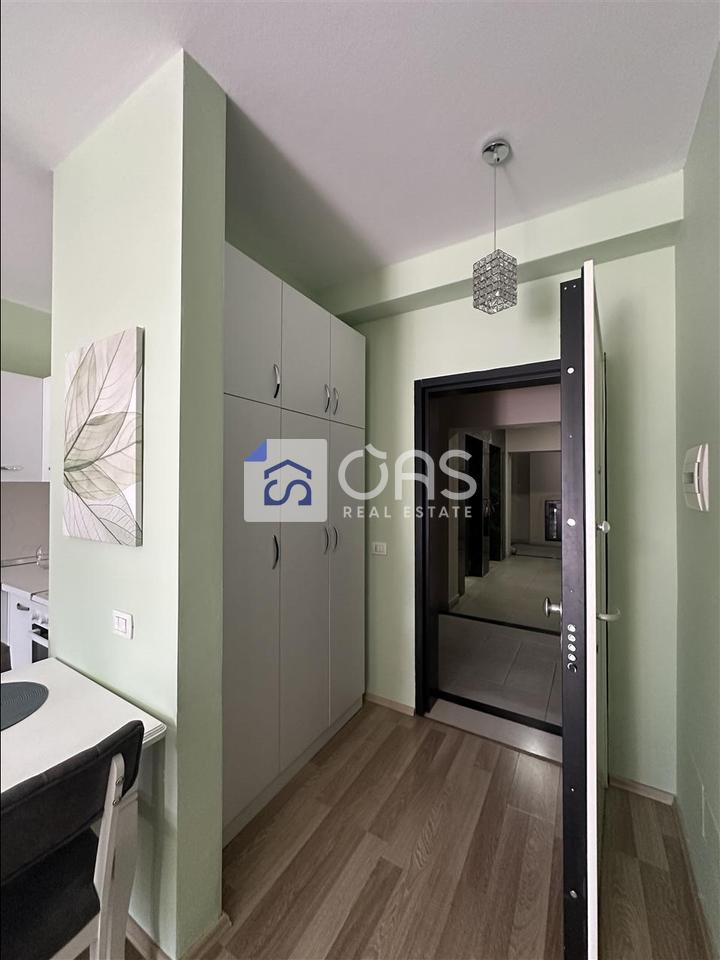 1+1 apartment for rent in the Center
