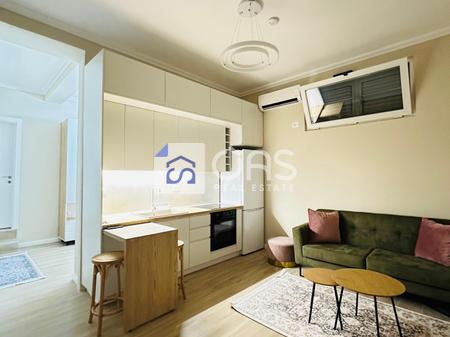 Apartment for rent 1+1 in Porcelan
