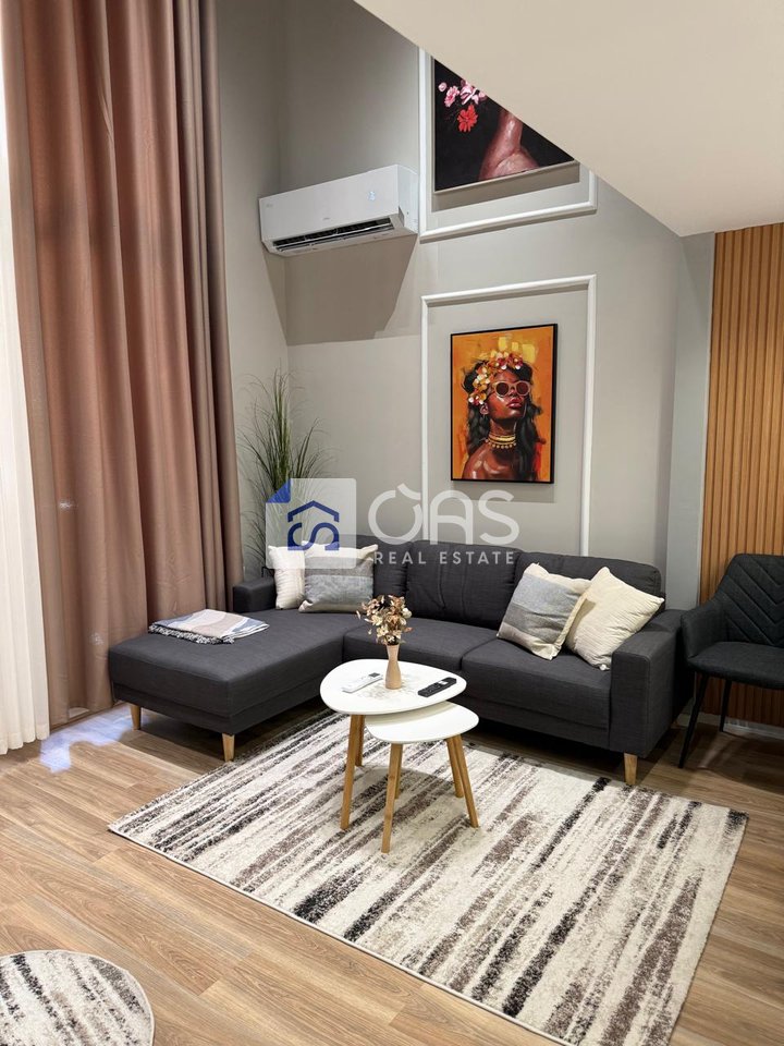 Duplex 1+1 with parking space for rent near American Hospital 3