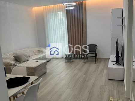 Apartment 1+1 for rent on Bulevardi i Ri