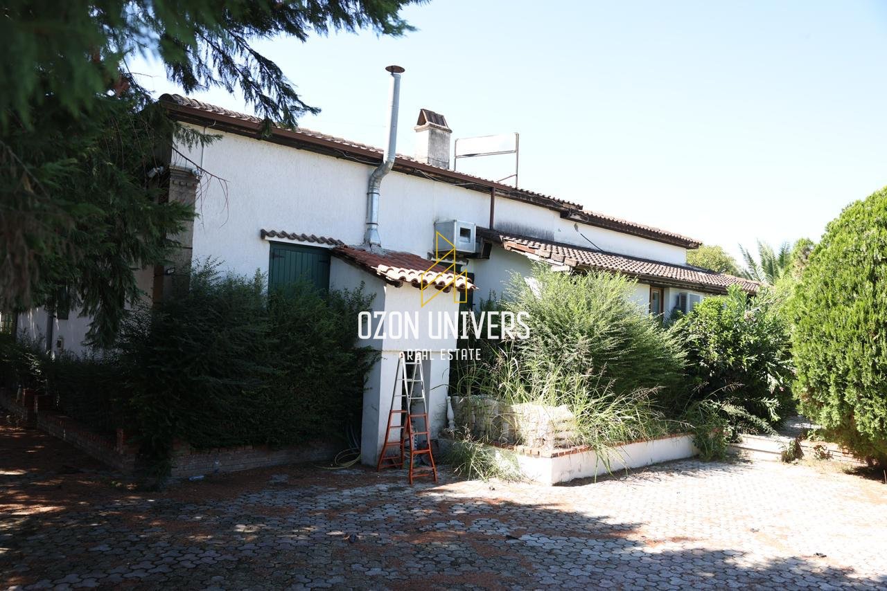 Vendesi in vendita a Berat!