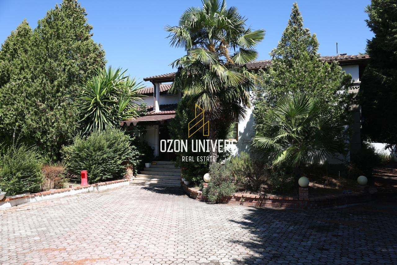 Vendesi in vendita a Berat!