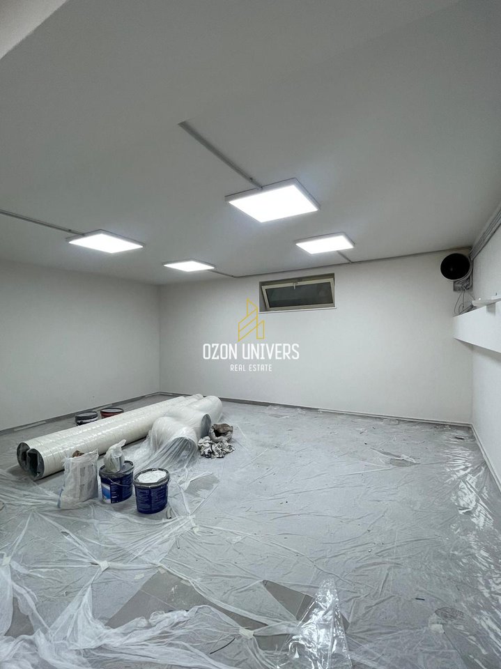 Ambient biznesi për qira, tek Vasil Shanto