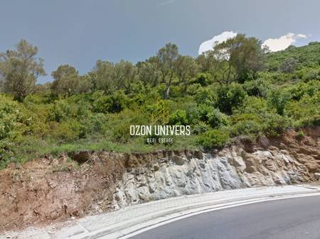 Shitet Tokë, buzë rruge Linzë!