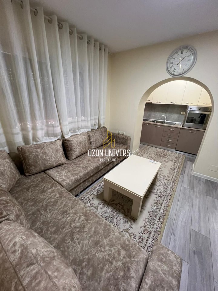 1+1 apartment for rent, in Myslym Shyr!