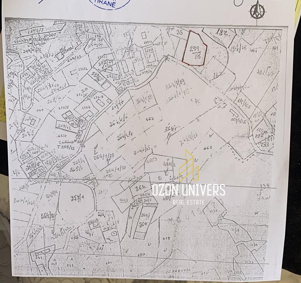 Shitet Tokë, buzë rruge Linzë!