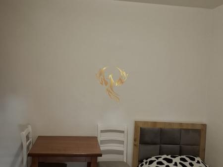 Studio apartment for rent near 21 Dhjetori.