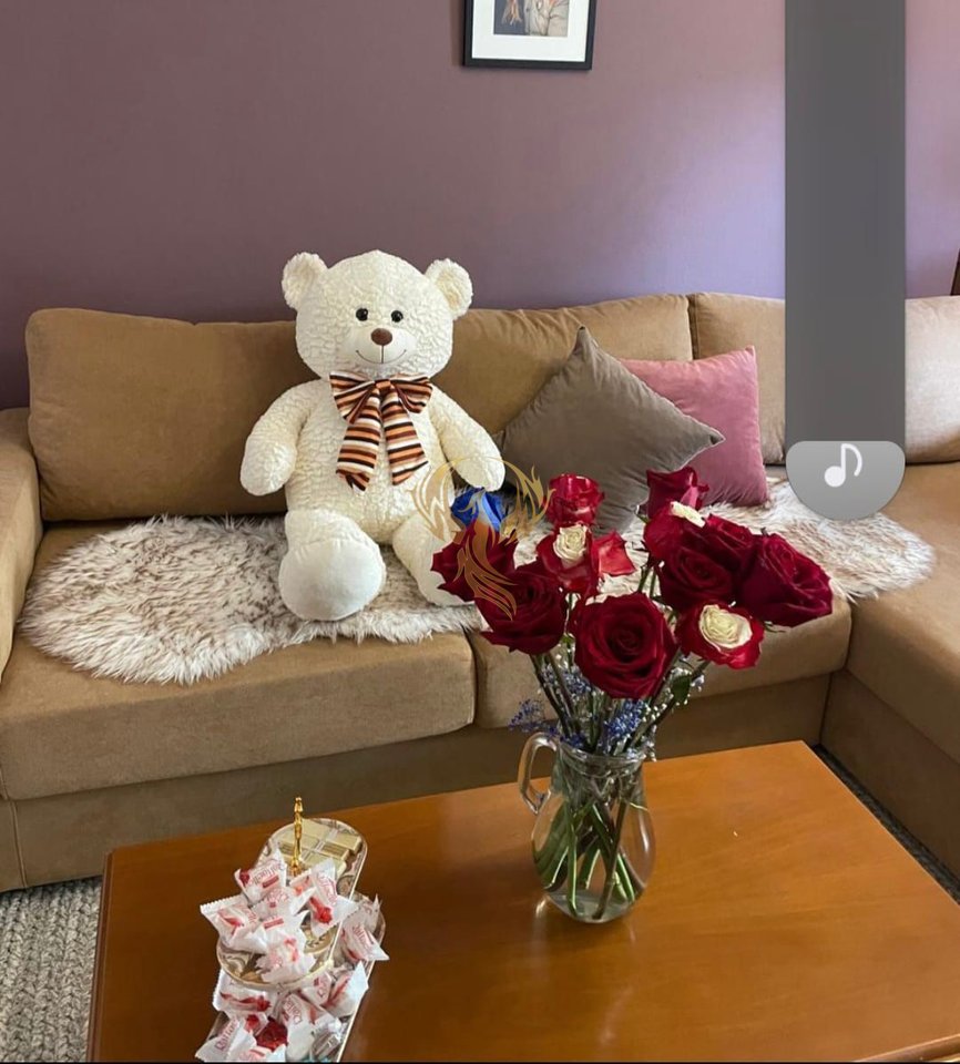 Affittasi appartamento 1+1 di fronte allo Stadio Air Albania.