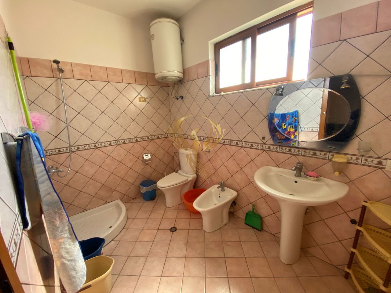 Affittasi ingresso 2+1 Fresk