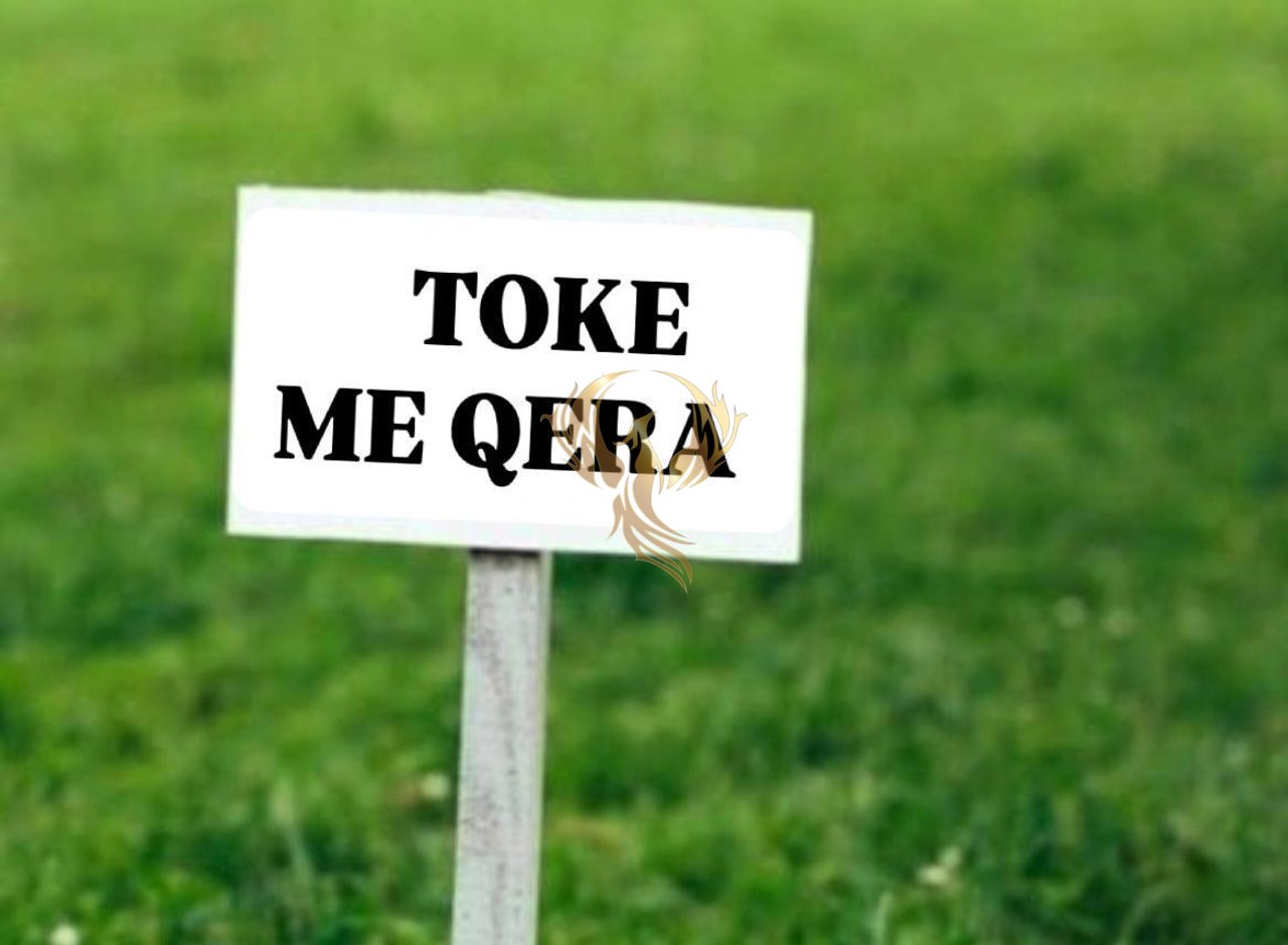Jepet me qera Toke ne Farke