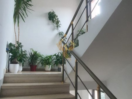 Jepet me qera hyrje 2+1+Bllk, Ali Demi