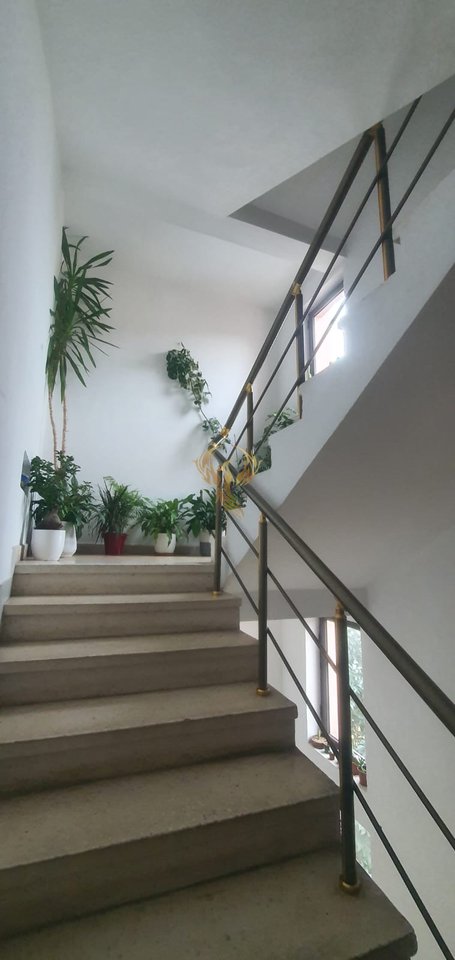 Jepet me qera hyrje 2+1+Bllk, Ali Demi