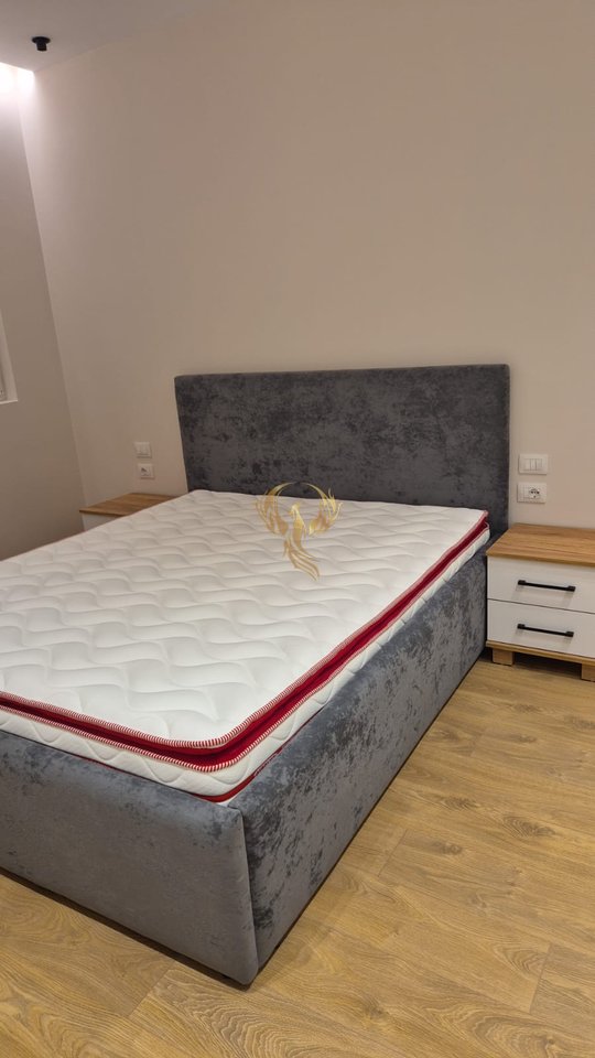 Luxury 1+1 apartment for rent near the train station