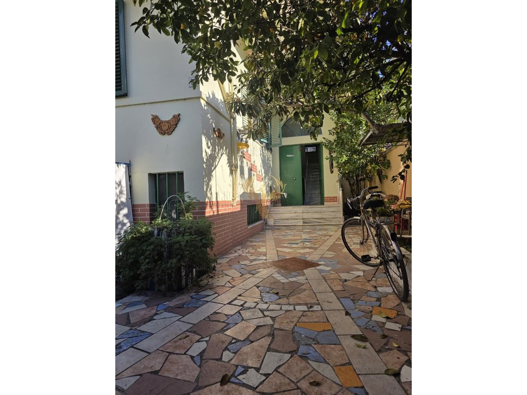 Image 10