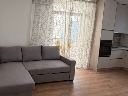 Apartment 1+1+balcony for Rent at “Rruga e Kosovareve”