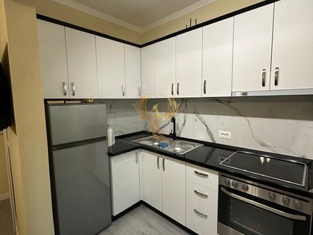 Apartment 1+1 Brryl for Rent