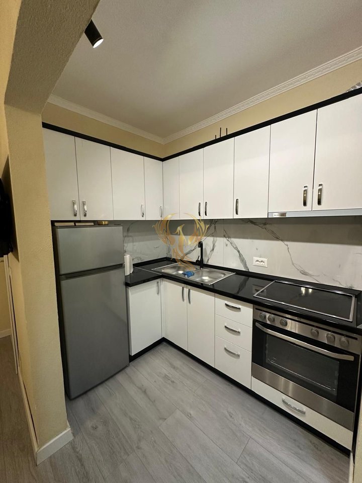 Apartment 1+1 Brryl for Rent