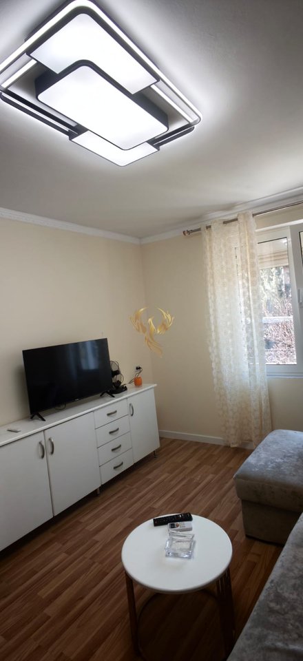 1+1 apartment for rent former exposition