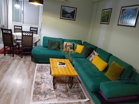 1+1 Apartment for Rent in Selvia