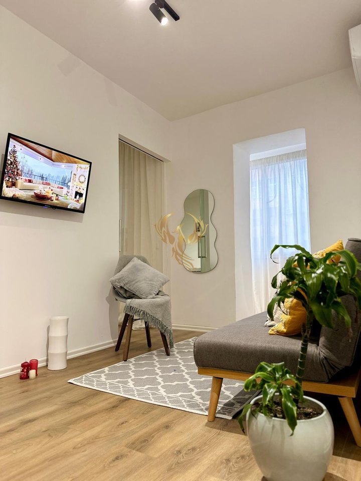 1+1 Apartment for Rent Artificial Lake